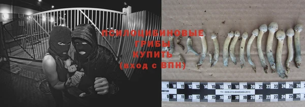 кокаин колумбия Алзамай