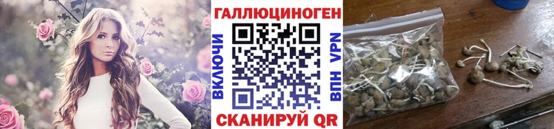 Галлюциногенные грибы MAGIC MUSHROOMS  Южно-Сухокумск 
